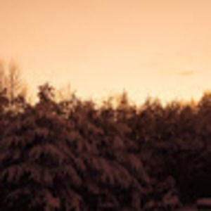 Meet your Posher, Colton